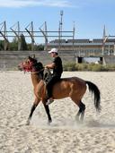 Bayir_horse_riding