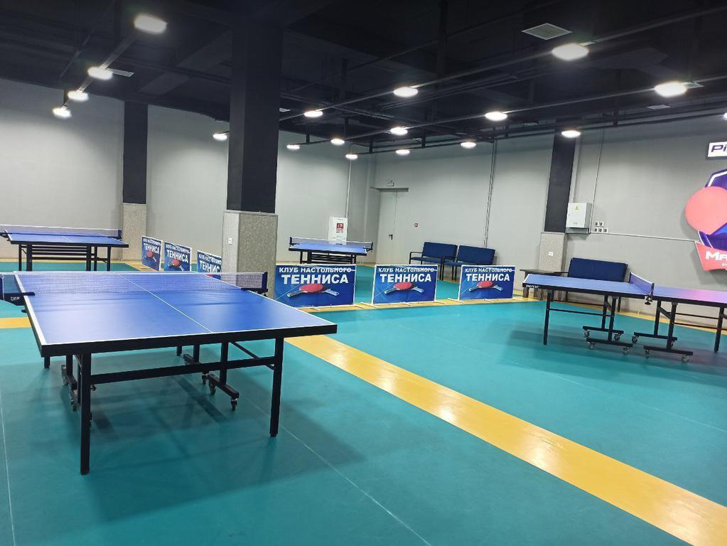 Ping Pong Master — фото 1