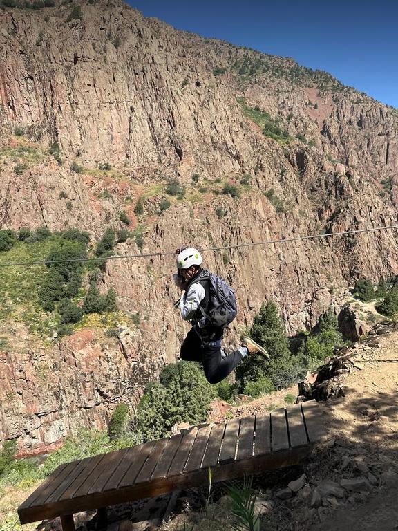 GORILLA EXTREME — фото 5