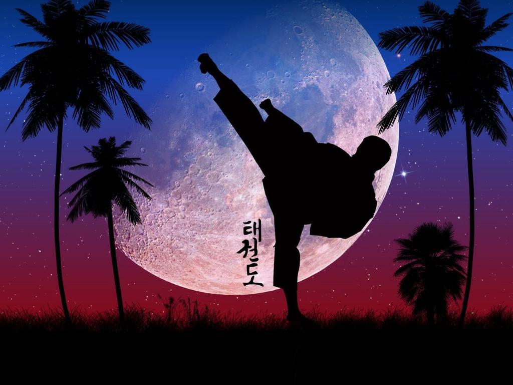 Taekwondo WT — фото 2