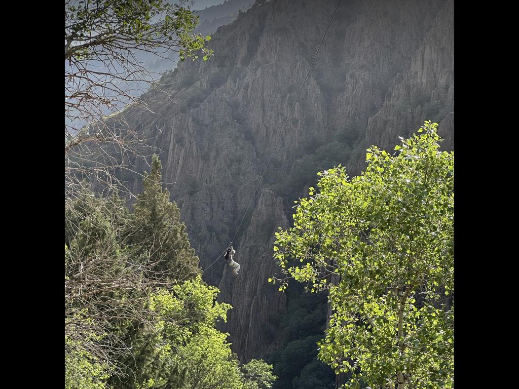 GORILLA EXTREME — фото 2