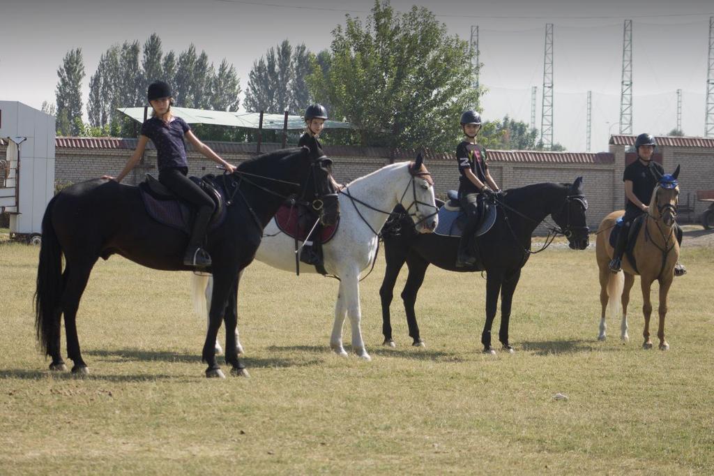 КСК Фазо-Тулпор — фото 3