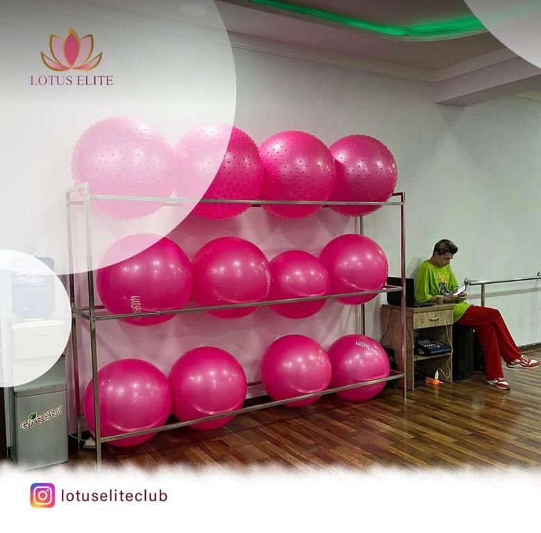 Lacus (Lotus Elite) — фото 10