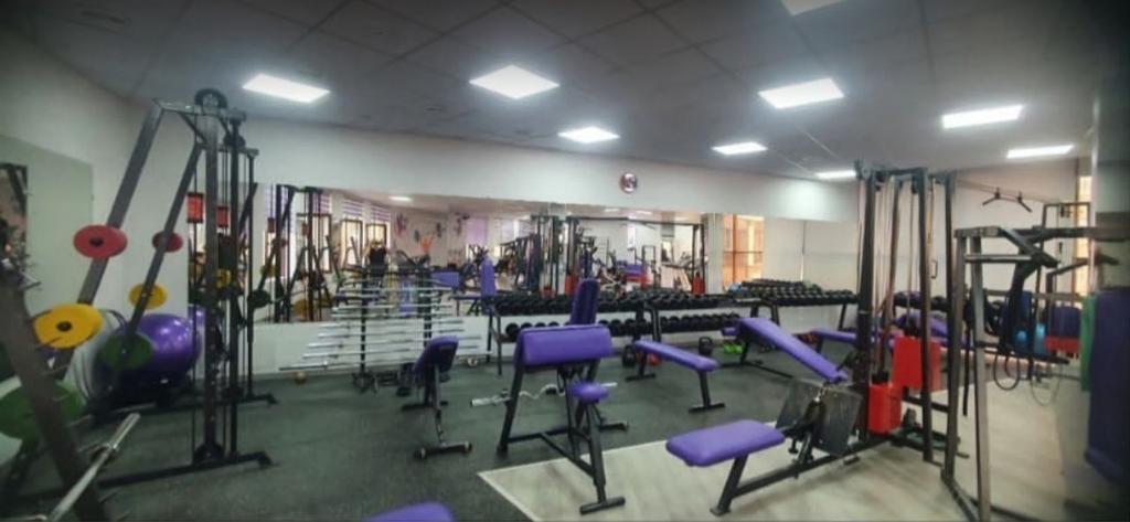 Mega Fitness — фото 3