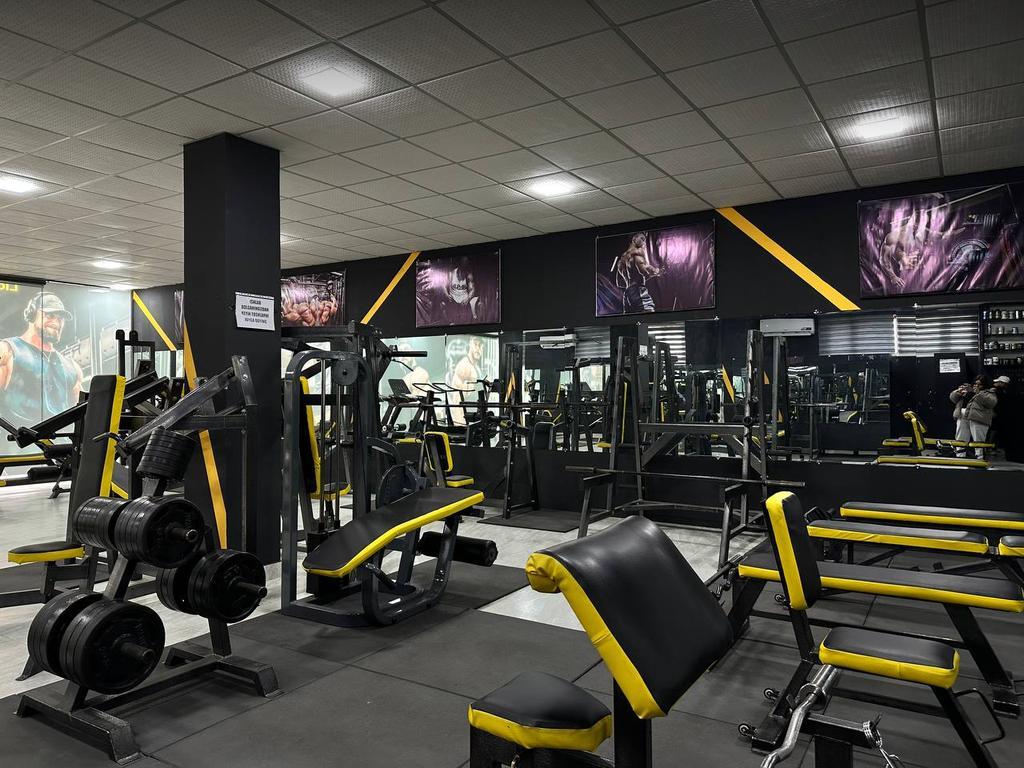 LION GYM — фото 6