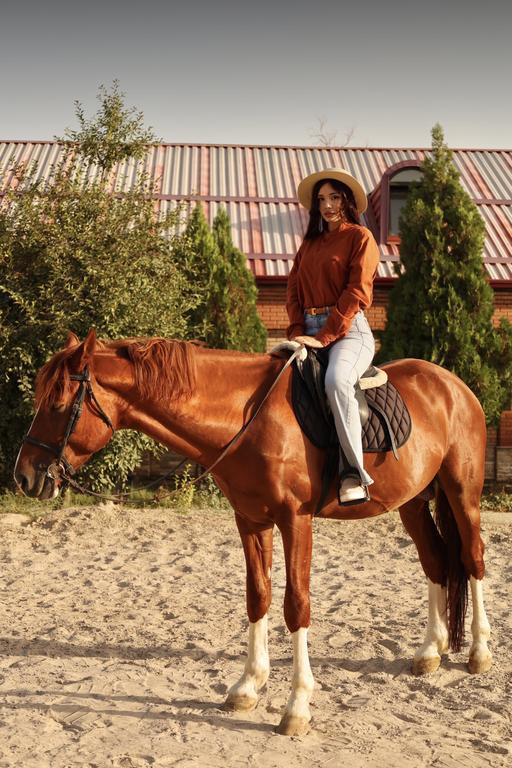 Horse Arena — фото 4
