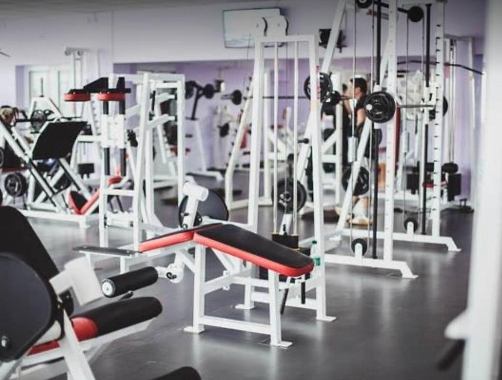 Top Gym — фото 6