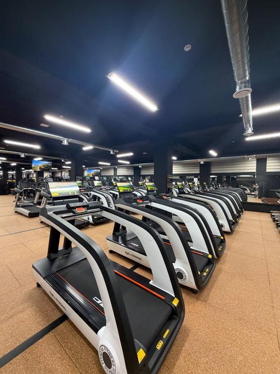 ALPHA SPORT SERGELI FIT — фото 9