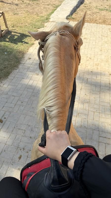 ASLAN HORSE CLUB, фото: Lobar