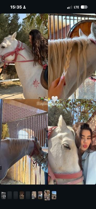 OQTULPOR.UZ: 🐎✨