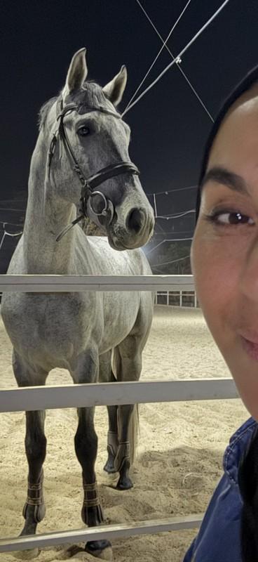 Horse Arena: ❤️❤️❤️❤️❤️❤️