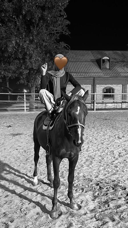Barlas Horse Club: Moshinada tanishvolamiz , chiqing” deb…