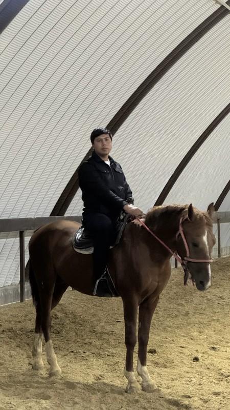 CHAMPION HORSES, фото: Mr_Adkhamjon