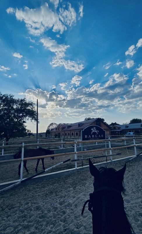 Barlas Horse Club, фото: o1.humoyun