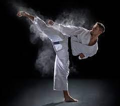 Всеказахстанская Организация Кёкушинкай Каратэ | Датова — фото 3