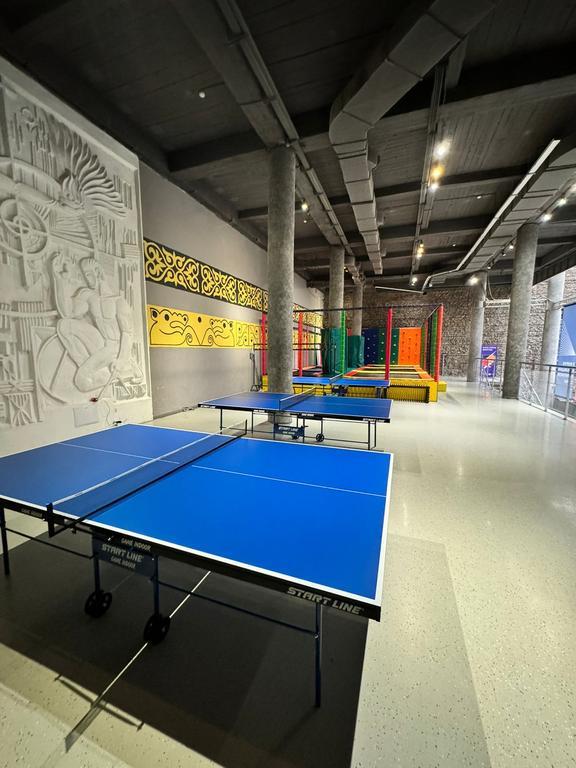 DOSTYK PING PONG — фото 4