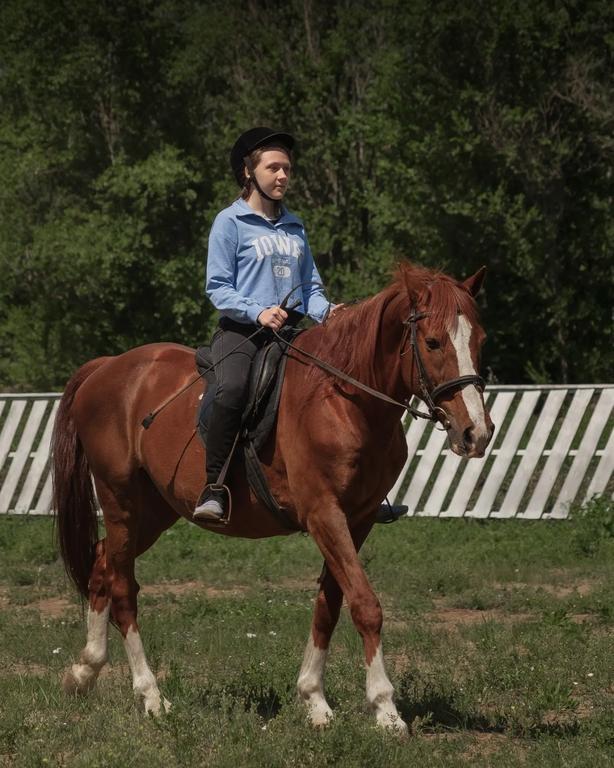 Конный клуб “Зелёная Лошадь” — фото 5