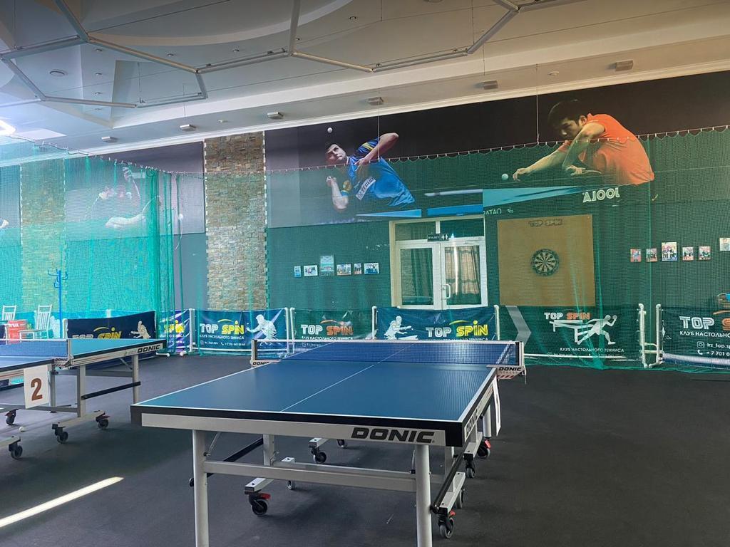 Top Spin — фото 2