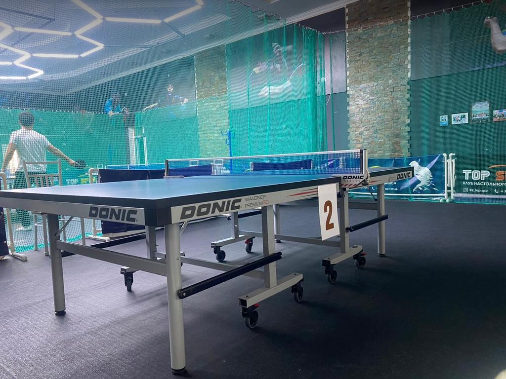 Top Spin — фото 1