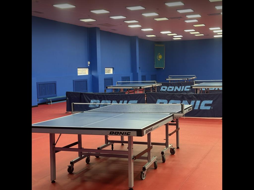 Федерация настольного тенниса РК — фото 1