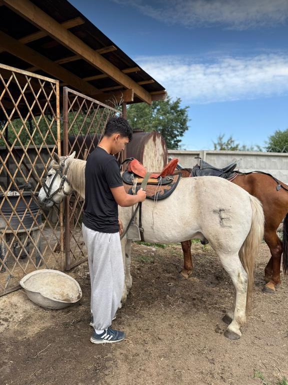 etalon horse club — фото 4