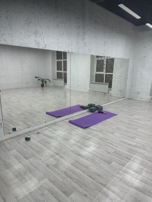 LunaFlex женская студия фитнеса и ратсяжки — фото 3