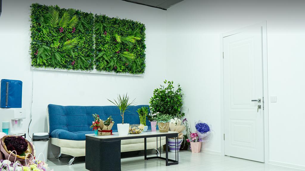 Motion — фото 3