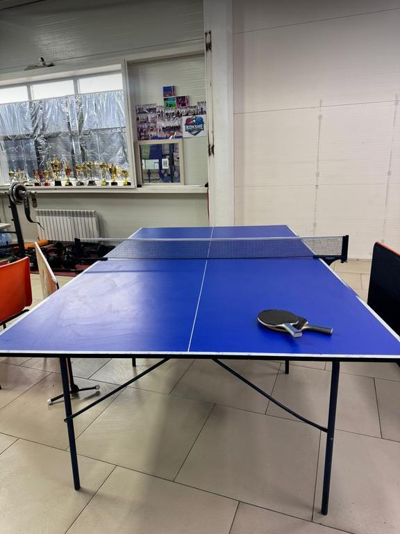 Kokshe Table Tennis — фото 5