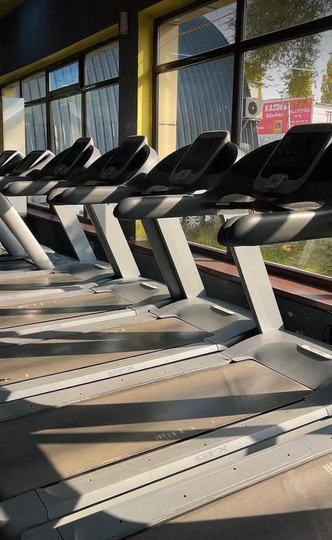 Delfin Gym — фото 3