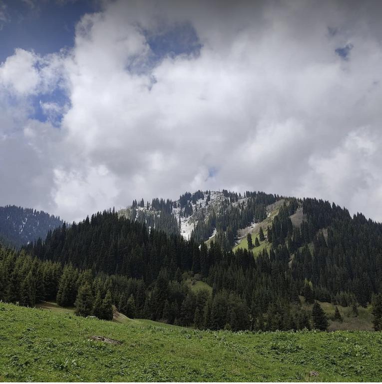 I love Almaty Mountains — фото 5