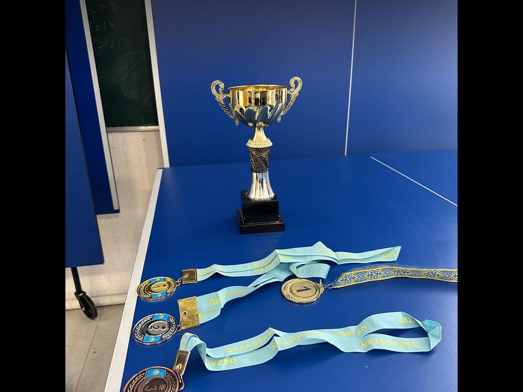 Карасу настольный теннис — фото 1