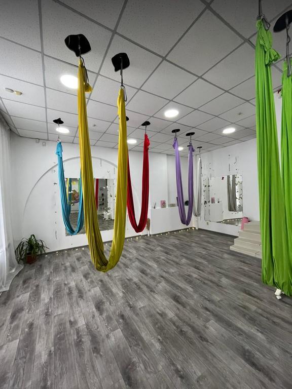 Студия женского фитнеса и йоги в гамаках "Гармония" в Сарани — фото 1