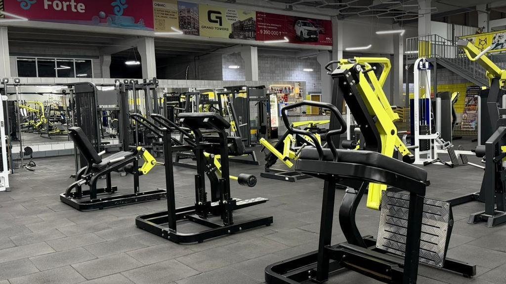 Alpha Gym — фото 15