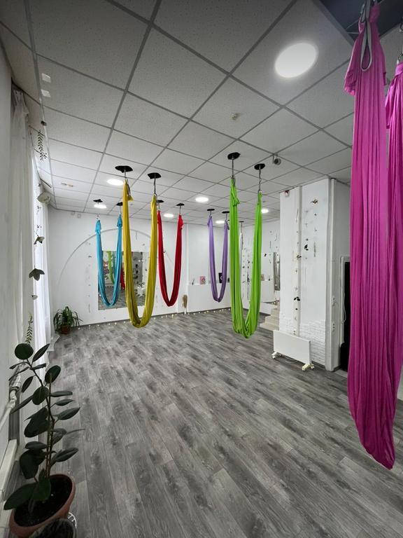 Студия женского фитнеса и йоги в гамаках "Гармония" в Сарани — фото 2