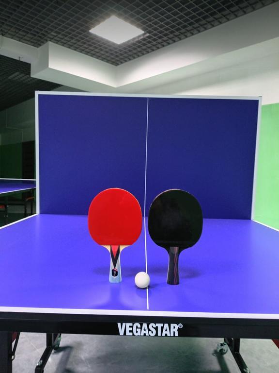 Ping Pong клуб настольного тенниса — фото 3