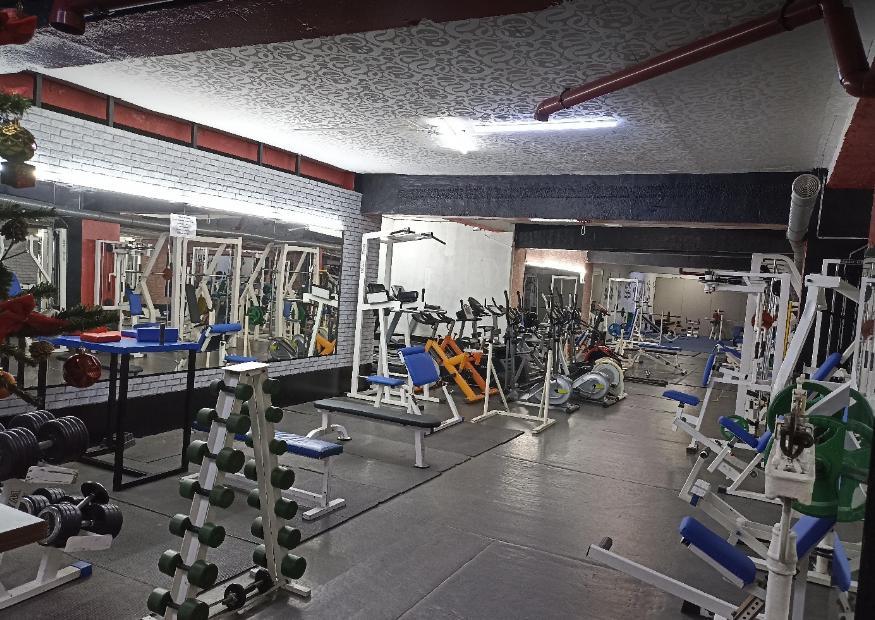Тренажерный зал "HERMES" — фото 5