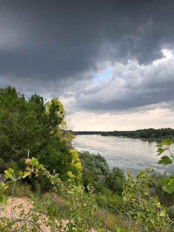 Аренда палаток — фото 5