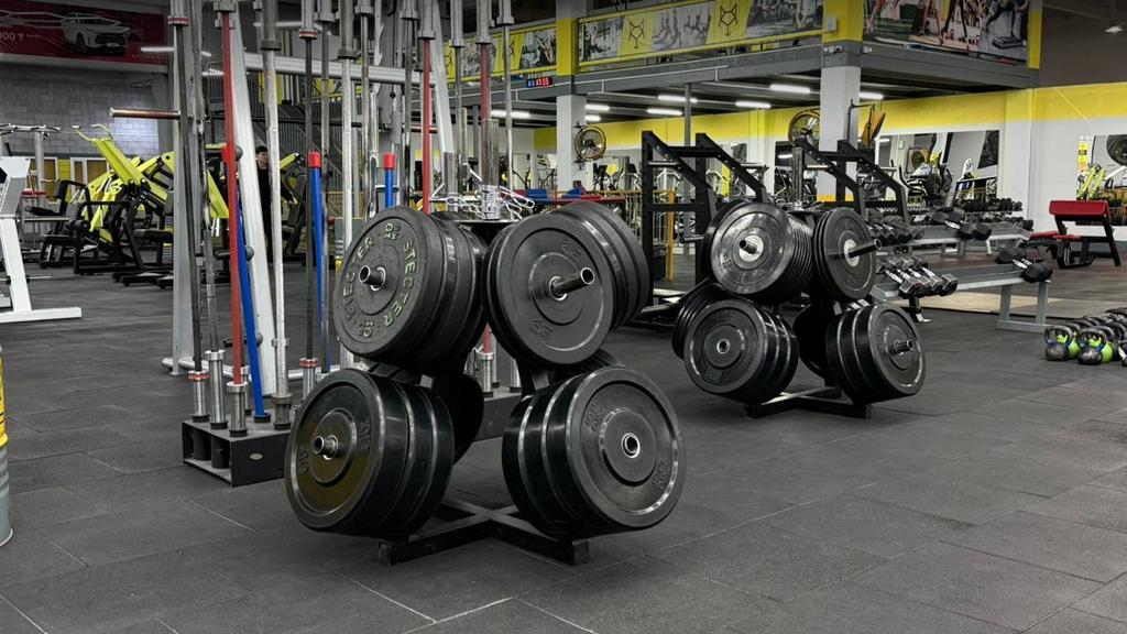 Alpha Gym — фото 19