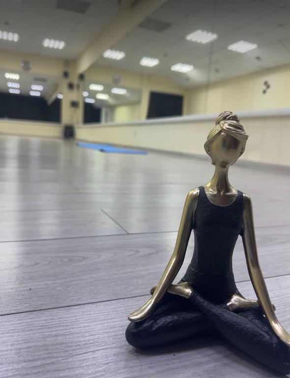 Lotus Yoga — фото 2