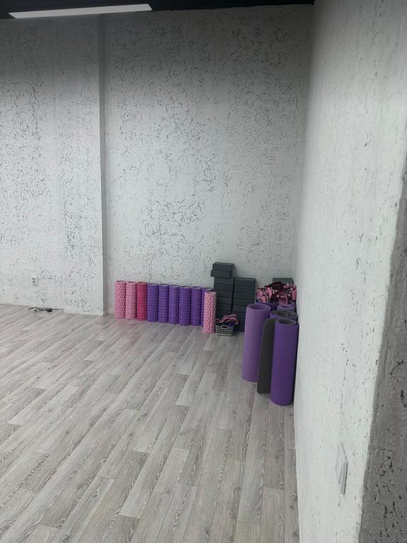 LunaFlex женская студия фитнеса и ратсяжки — фото 5