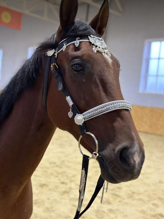 Nur-Er Конная прогулка — фото 9