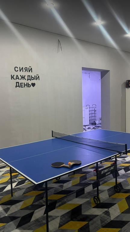 Настольный теннис "Rich house" — фото 3