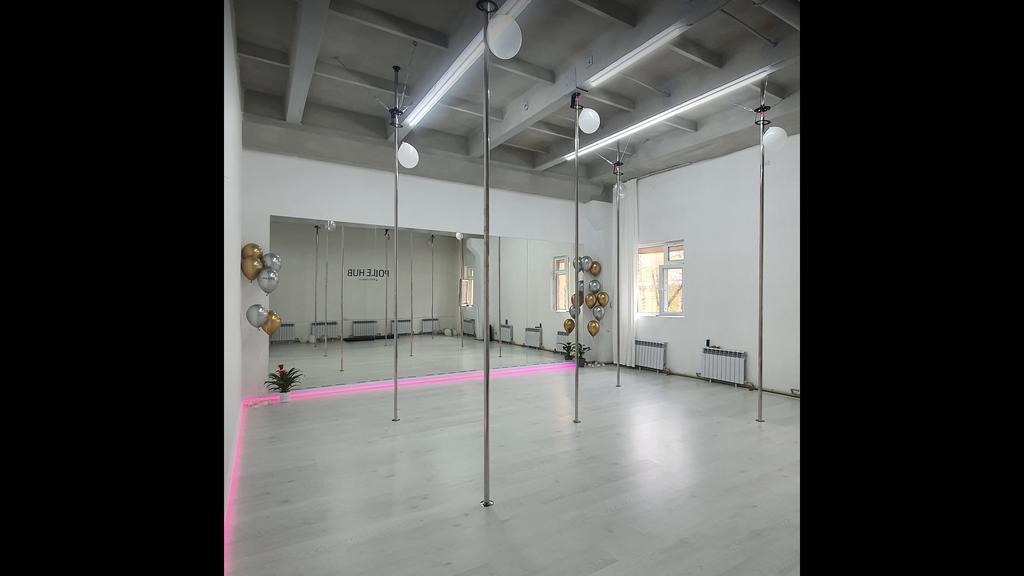 Pole Dance & Stretching — фото 3