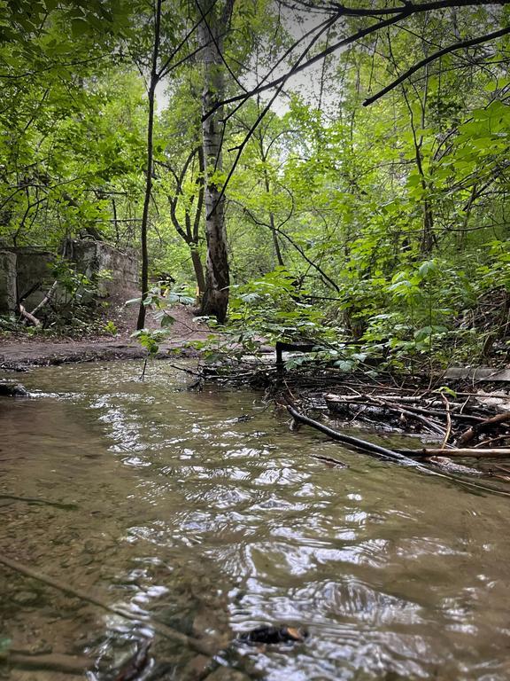 Эко-тропа Святой Ключ — фото 3