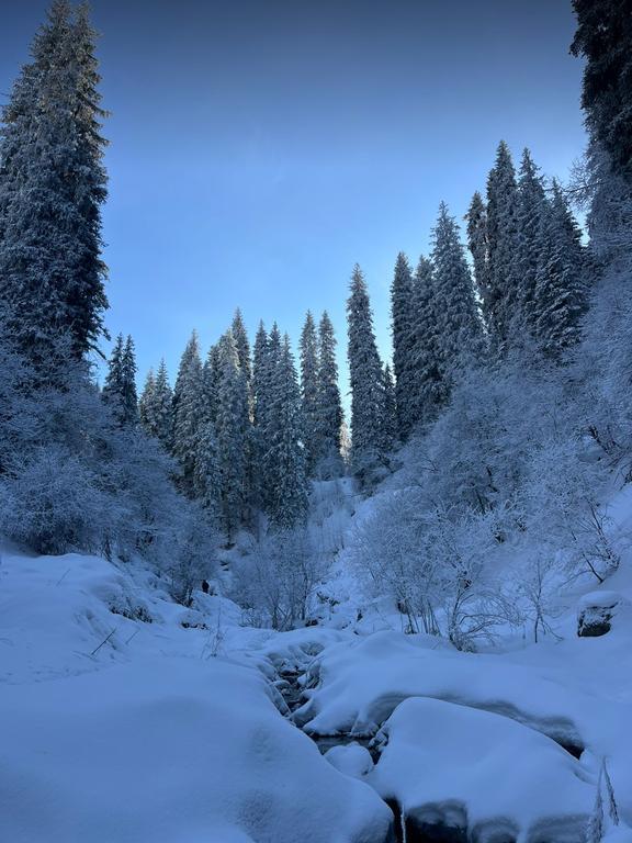 Move & Heal Yoga — фото 1