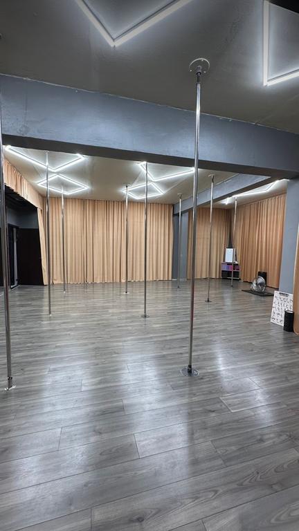 Alta pole studio — фото 3