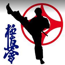 Всеказахстанская Организация Кёкушинкай Каратэ | Датова — фото 4