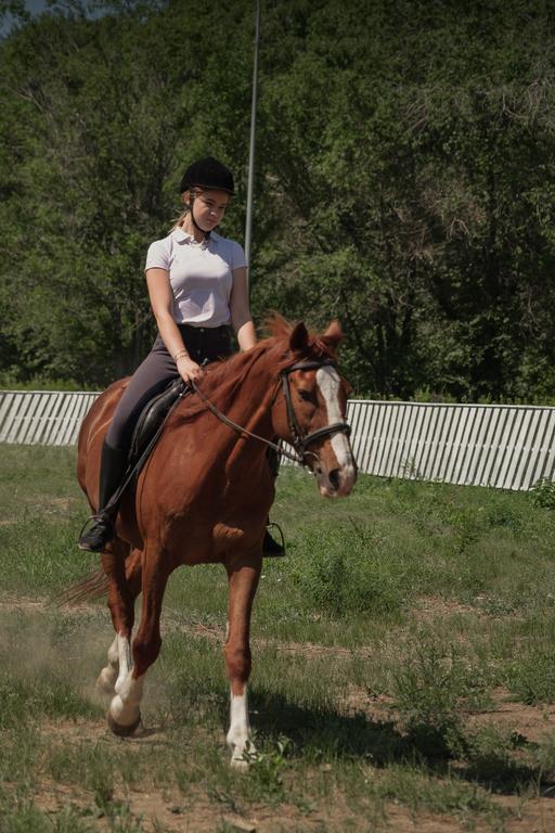 Конный клуб “Зелёная Лошадь” — фото 2