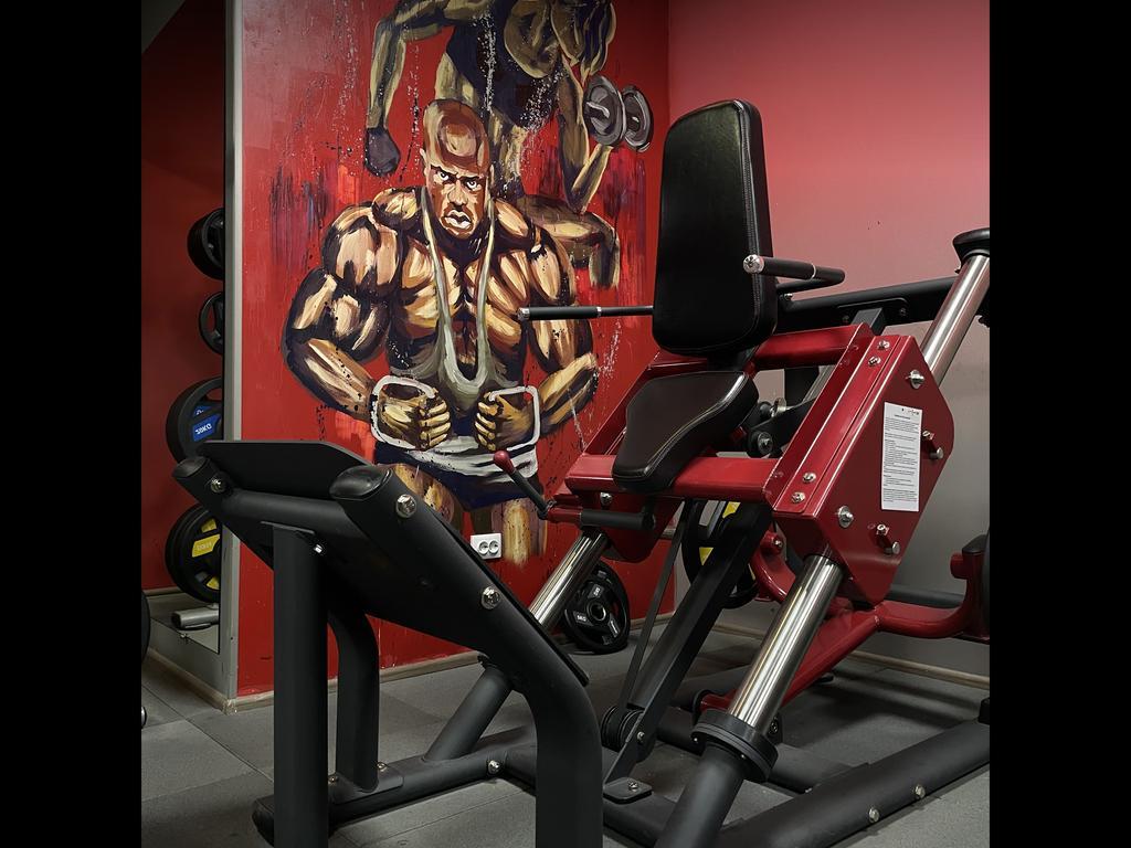 Fit Rise — фото 8