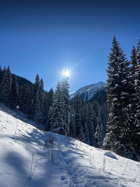 Move & Heal Yoga — фото 3